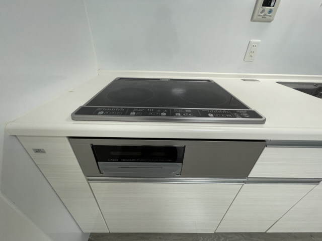 アカカベビルのその他