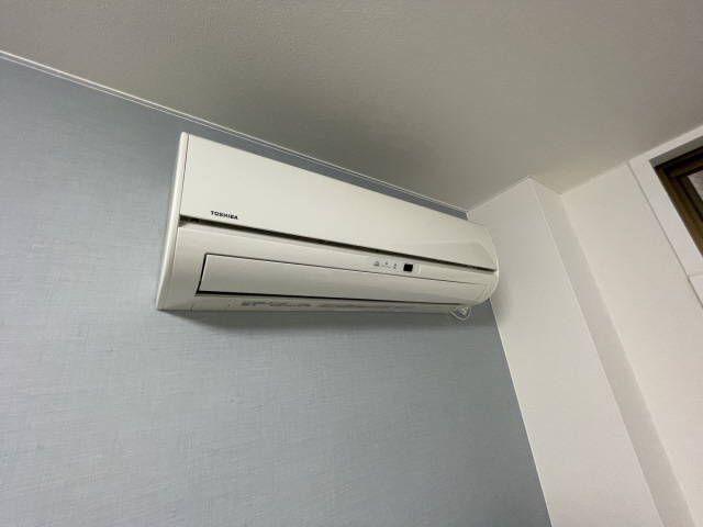 アカカベビルのその他