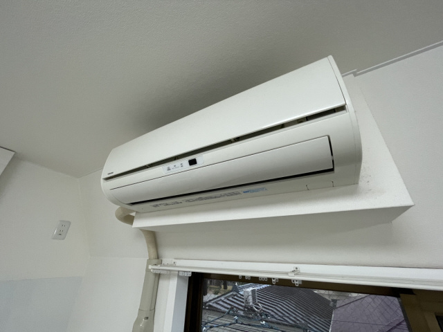 アカカベビルのその他