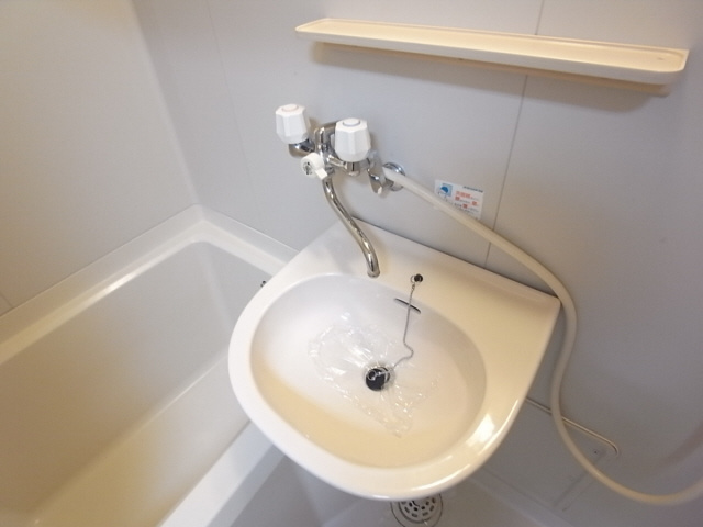 大栄・ラメール（ハイム・ラメール）の洗面所