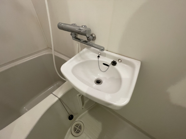 コーニッシュ王子公園のその他