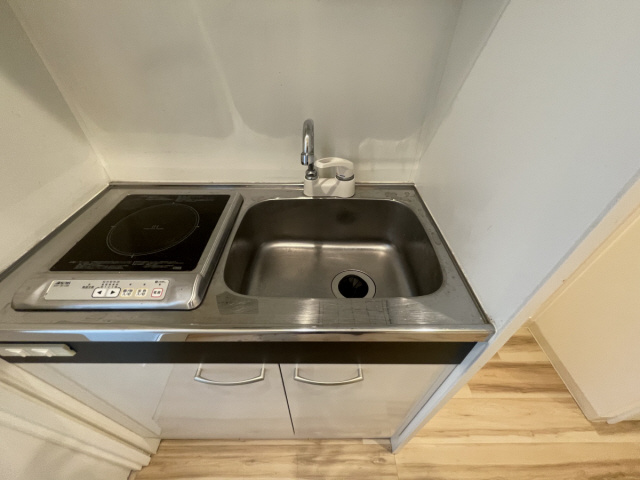 コーニッシュ王子公園のその他