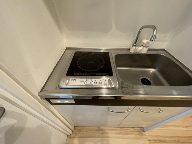 コーニッシュ王子公園のその他