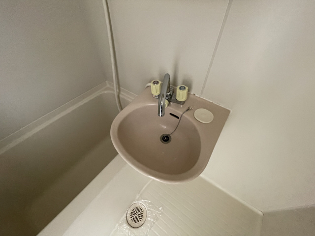 アンジュパンシオンの洗面所