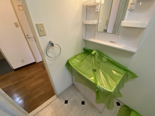 ハイツ仏天垣の洗面所