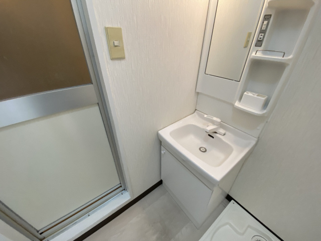 フラッツ・エクシードの洗面所