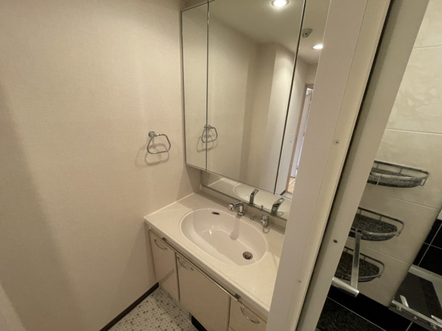 セレッソコート甲南山手森北町の洗面所