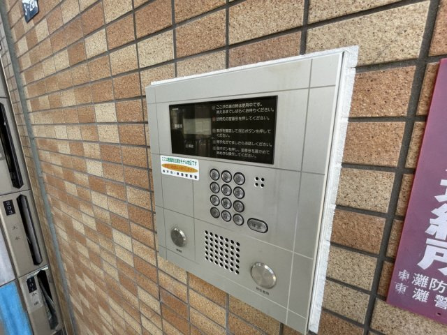 キャロル御影のその他