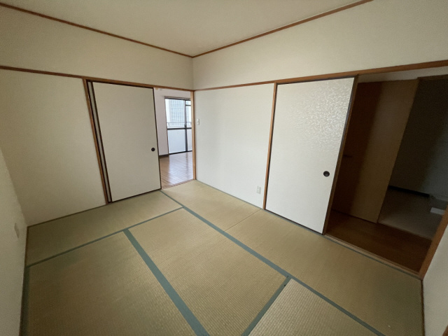 キャロル御影のその他