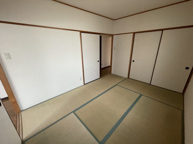 キャロル御影のその他