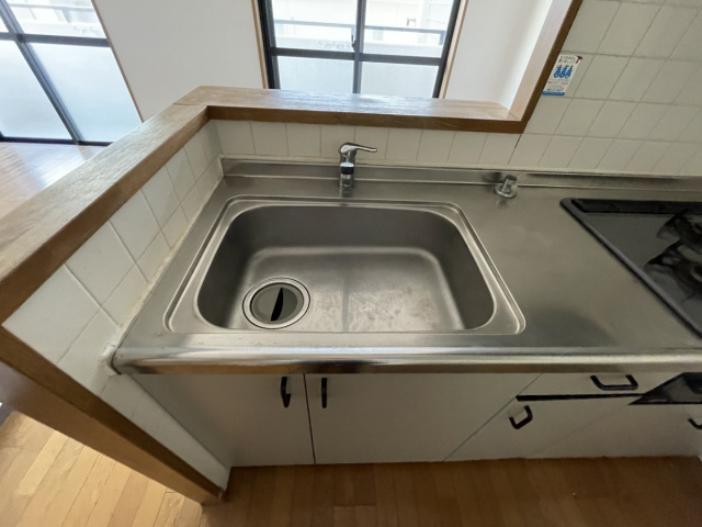 キャロル御影のその他