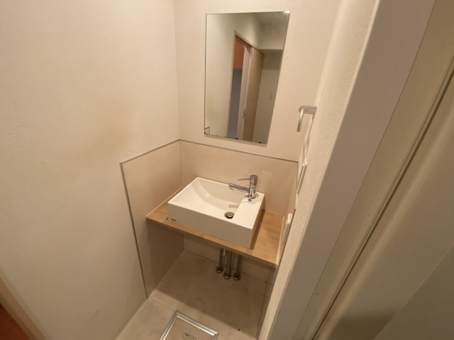 アークタマタニの洗面所