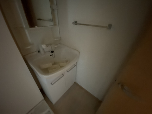 ホーミー六甲の洗面所