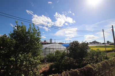 【展望】 | フィオーレ