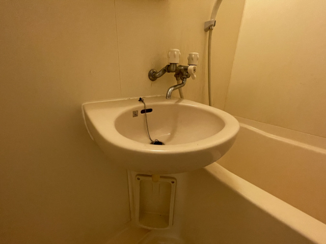 エクセレント坂田の洗面所