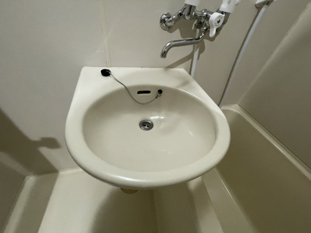 岡本南マンションの洗面所