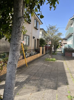 【その他】 | 柏市逆井藤ノ台中古戸建 | 現地周辺環境。落ち着いた街並みが広がる閑静な住宅街です。