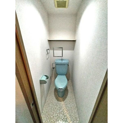 【トイレ】 | ハイツホロン | 落ち着いたトイレです
