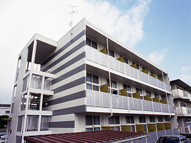 レオパレスクレベールの画像