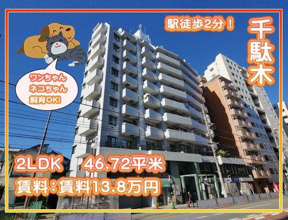 【外観】