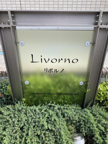 Livorno（リボルノ）Iのその他