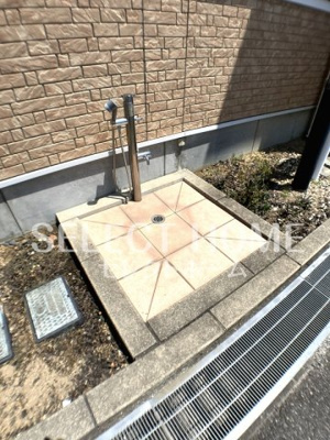  | ピソ・フロール