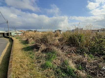 指宿市十町土地（鉱泉地あり）の画像