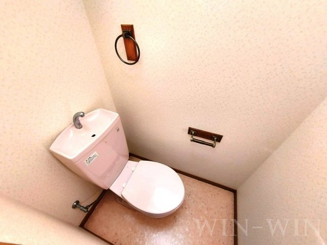 Luce Uenoのトイレ