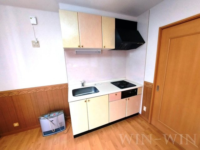 Luce Uenoのキッチン