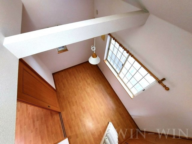 Luce Uenoのその他