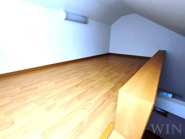 Luce Uenoのその他