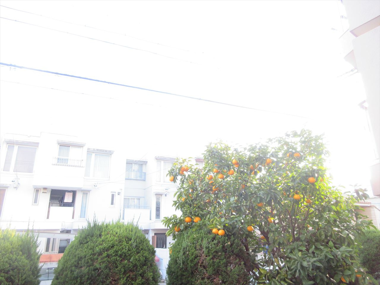 平和が丘住宅10号棟の展望|平和が丘住宅