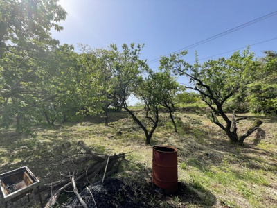 【外観】 | 大津町吹田土地