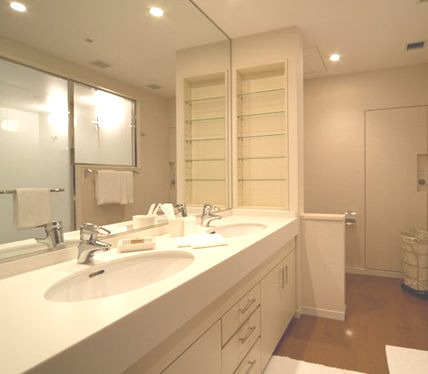 千代田区永田町２丁目の賃貸マンションの独立洗面台