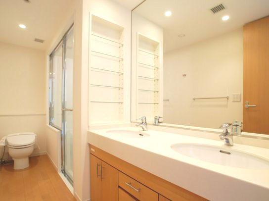 千代田区永田町２丁目の賃貸マンションの独立洗面台