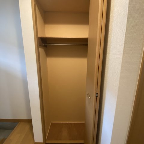 ベルシーヌ新生の収納|こまごまとしたものを収納できそうですね