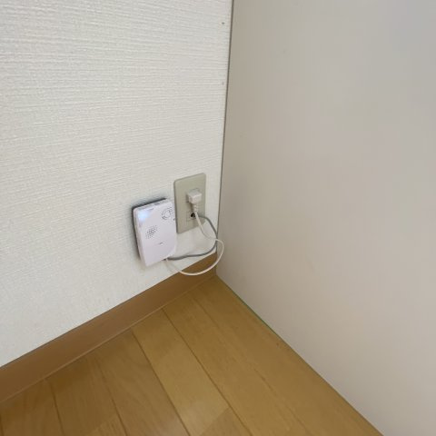ベルシーヌ新生のその他