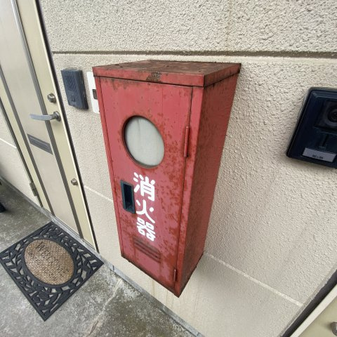 ベルシーヌ新生のその他