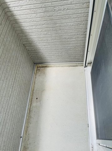 仲介手数料0円！！カーサ　ベル　稲生のバルコニー