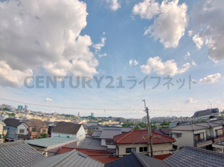 【展望】
