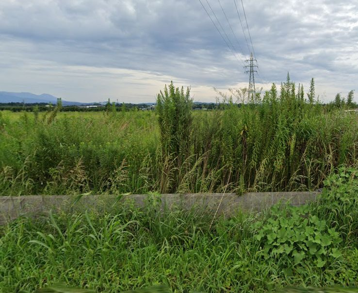 都城市乙房町の売地の外観