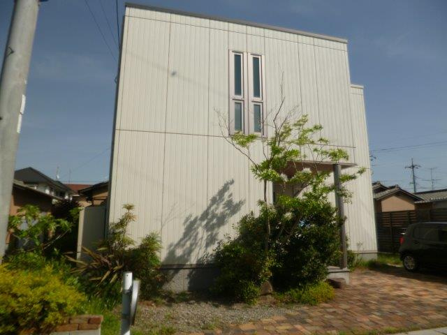 カスミソウの外観