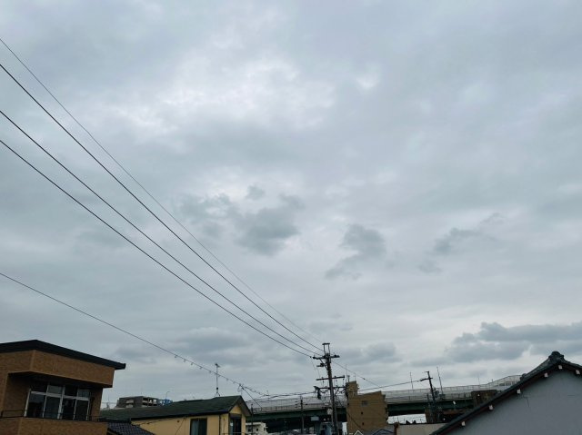 仲介手数料0円！！ミューズの展望