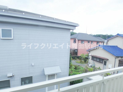 【展望】 | ディアパンジー