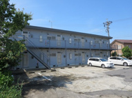 プリムローズ21の画像