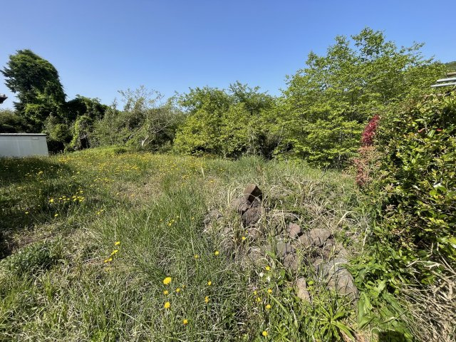 荻　土地の外観
