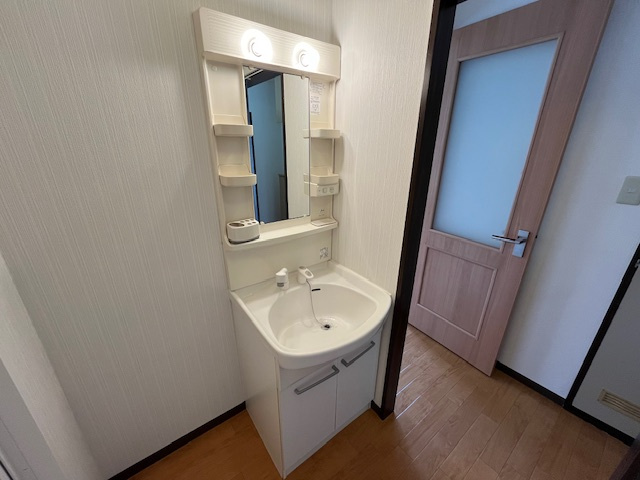 タウニィハイツ金剛の独立洗面台