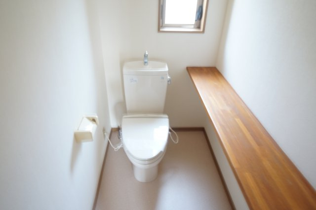 蔵屋マンション第四のトイレ