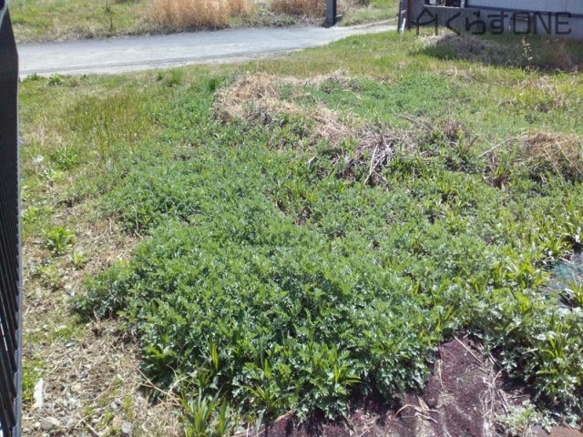 【外観】 | 姫路市余部区下余部／売土地