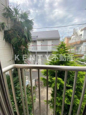 【展望】 | パームガーデン